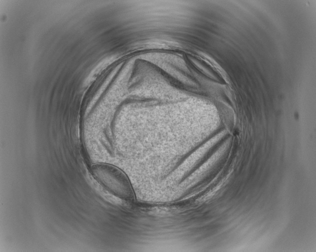 X0000067530938200605051916