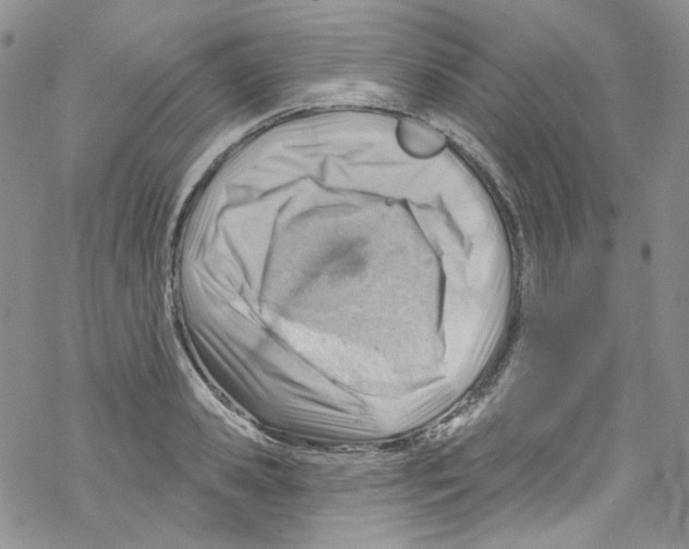 X0000067530941200605051916