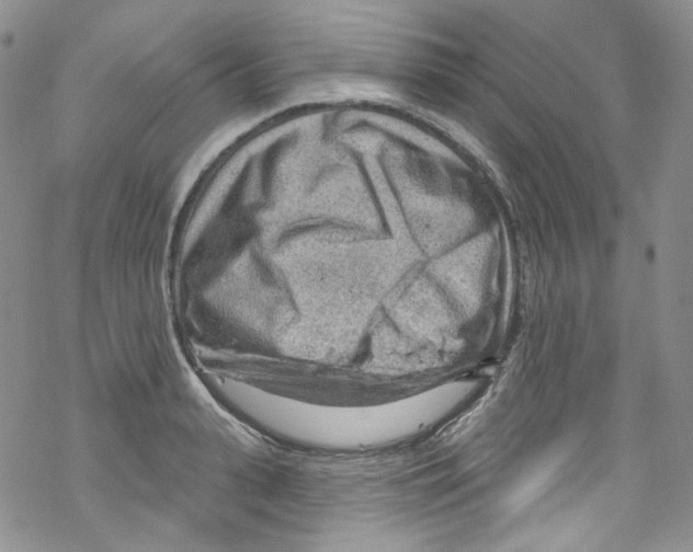 X0000067530943200605051916