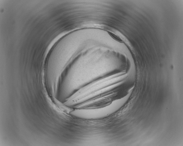 X0000067530955200605051916