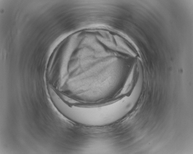 X0000067530959200605051916