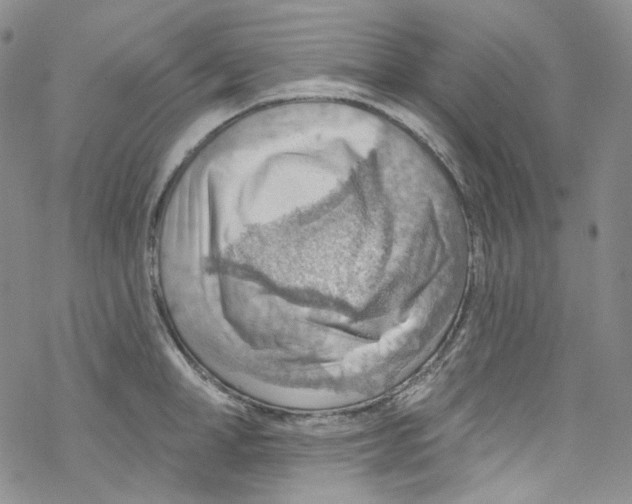 X0000067530998200605051915