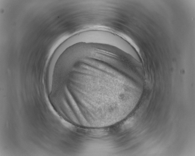 X0000067531007200605051915