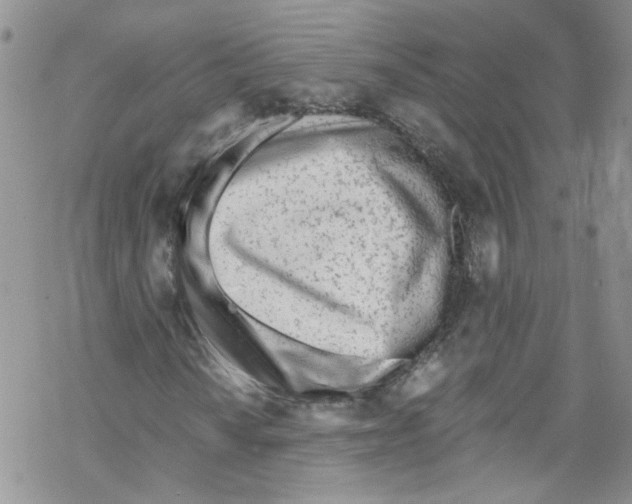X0000067531010200605051914