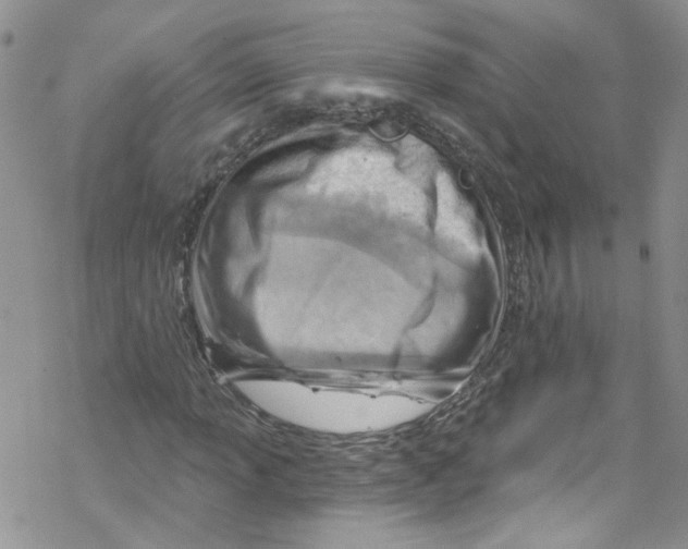 X0000067531013200605051914