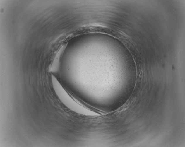 X0000067531014200605051914