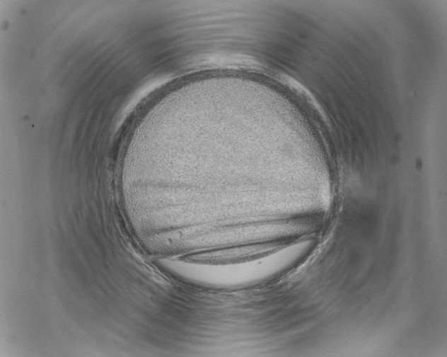X0000067531019200605051914