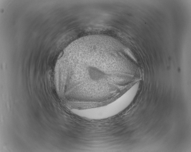 X0000067531059200605051914