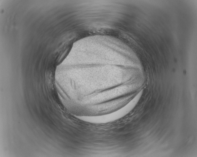 X0000067531060200605051914