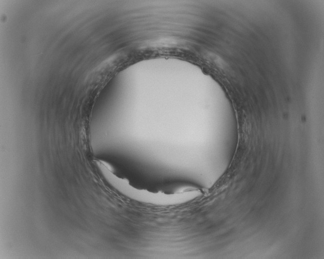 X0000067531062200605051914