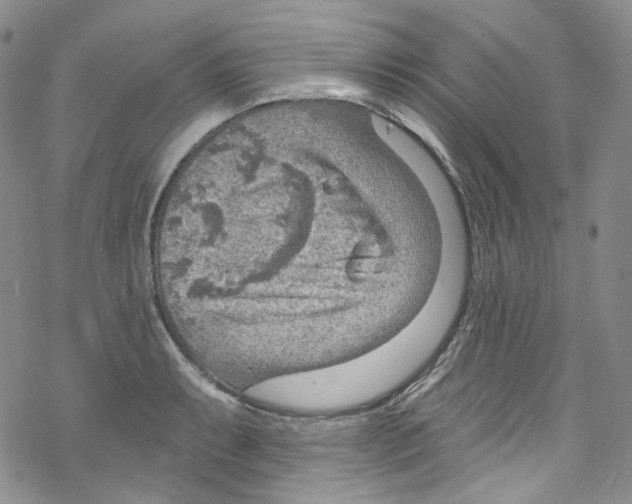 X0000067531087200605051914