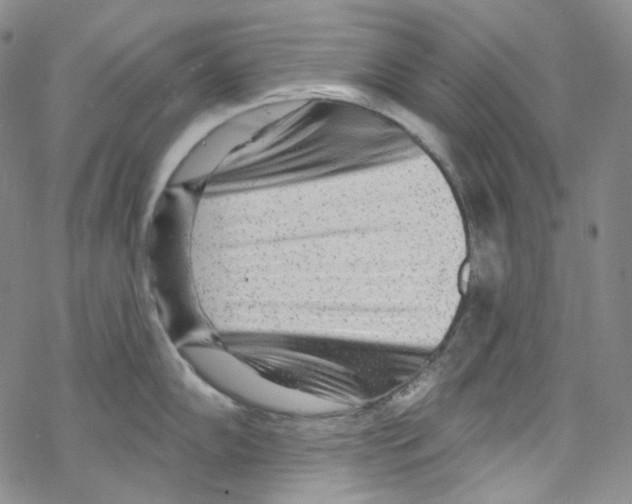 X0000067531102200605051913