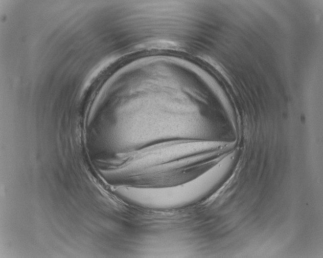 X0000067531115200605051913