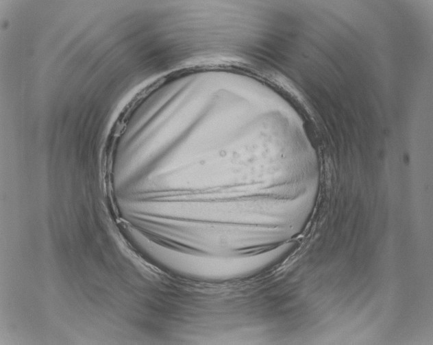 X0000067531124200605051913