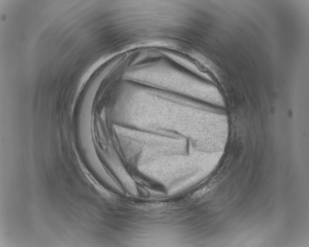 X0000067531127200605051913