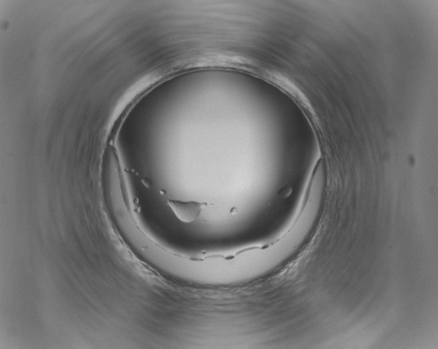 X0000067531138200605051913