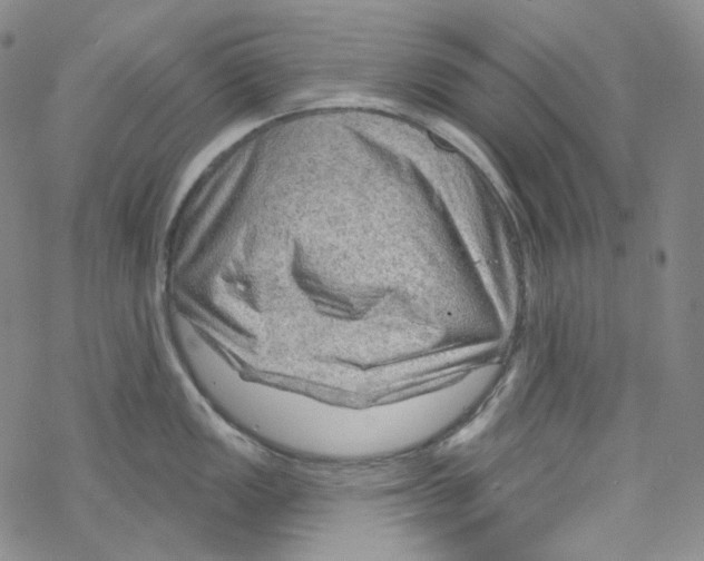 X0000067531149200605051913