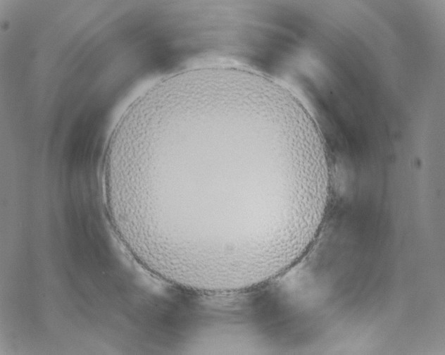 X0000067531150200605051913