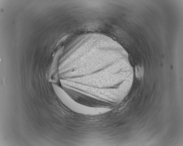 X0000067531155200605051912
