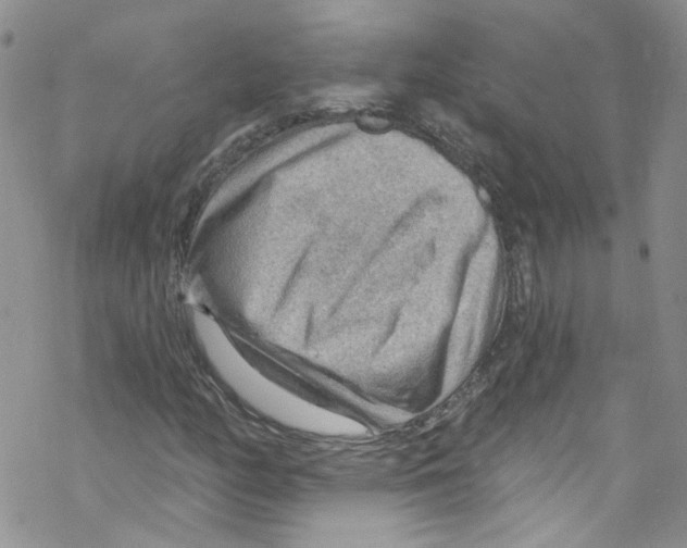 X0000067531158200605051912