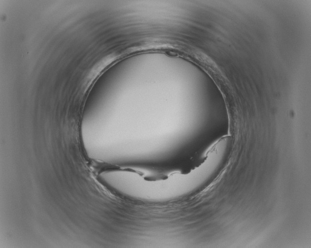 X0000067531177200605051912