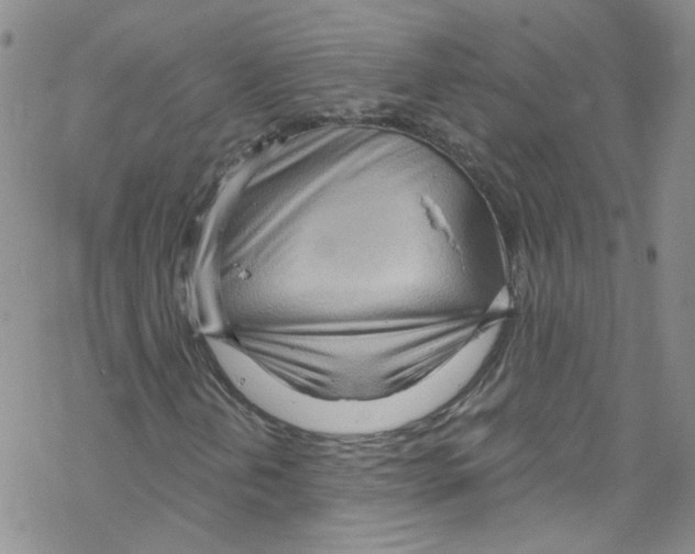 X0000067531202200605051911