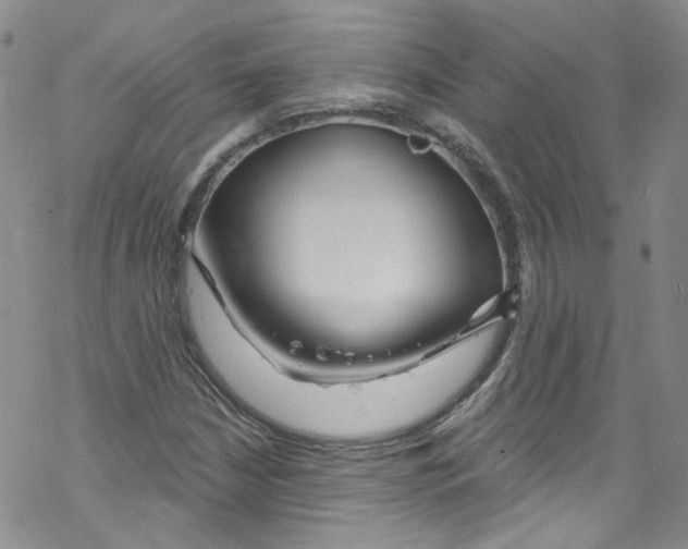 X0000067531210200605051911