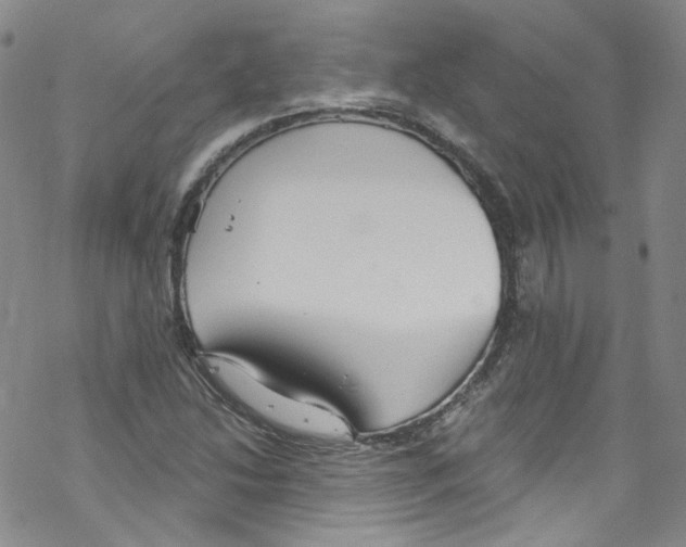 X0000067531214200605051911