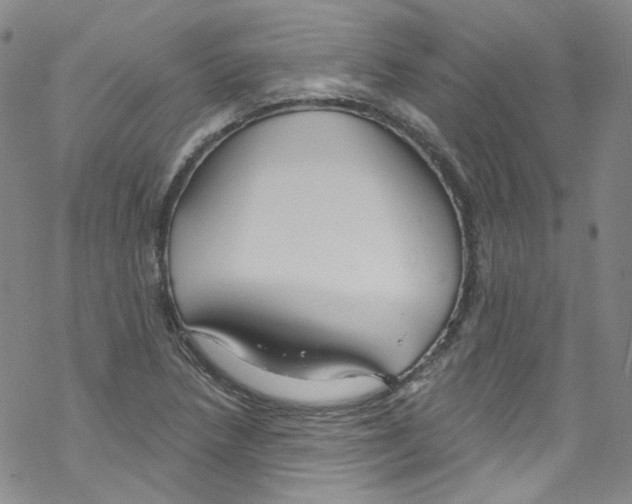 X0000067531218200605051911