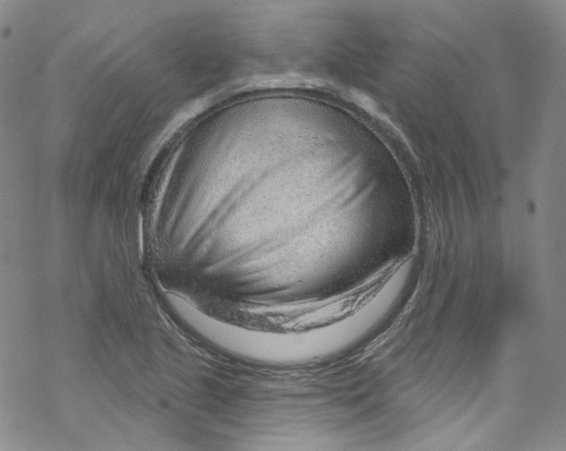 X0000067531221200605051911