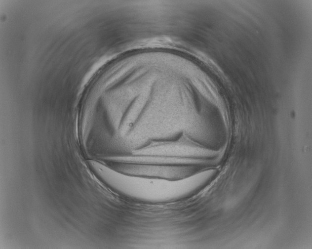 X0000067531224200605051911