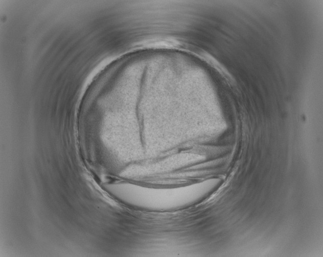 X0000067531240200605051912