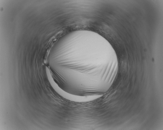 X0000067531250200605051911