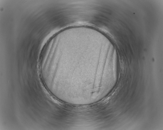 X0000067531278200605051910
