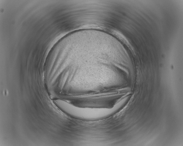 X0000067531284200605051910