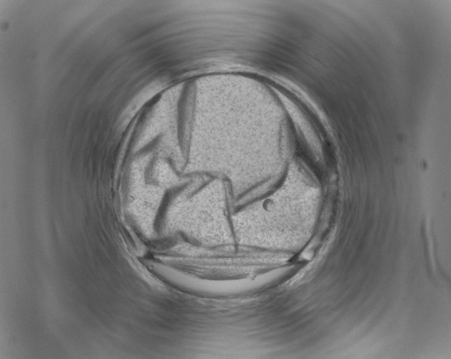 X0000067531289200605051910