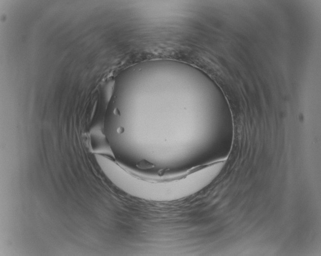 X0000067531298200605051909