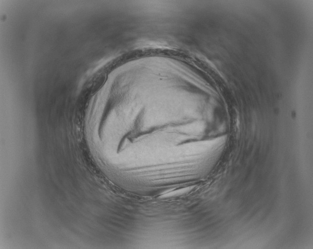 X0000067531303200605051909