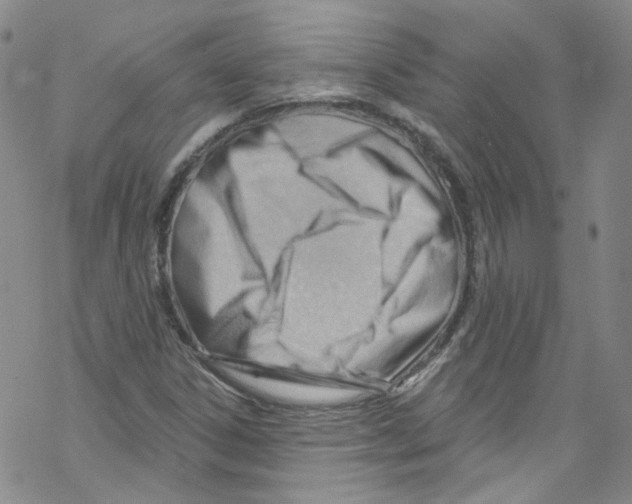 X0000067531306200605051909