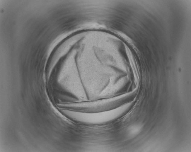 X0000067531335200605051910