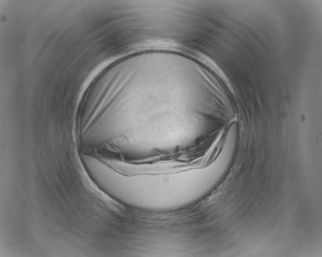 X0000067531339200605051910