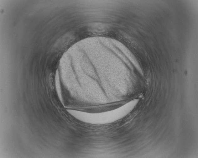 X0000067531346200605051909