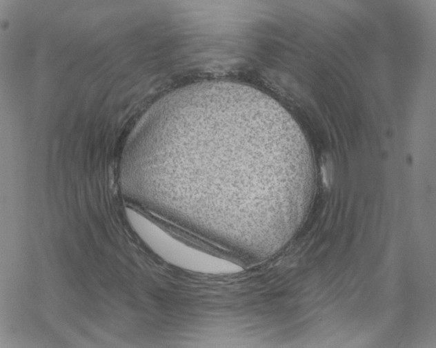 X0000067531347200605051909
