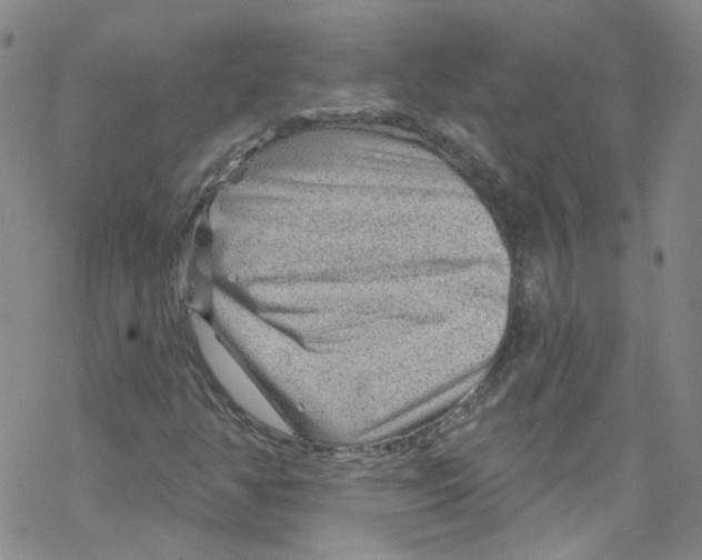 X0000067531350200605051909