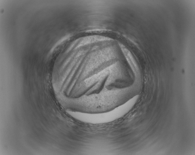 X0000067531351200605051909