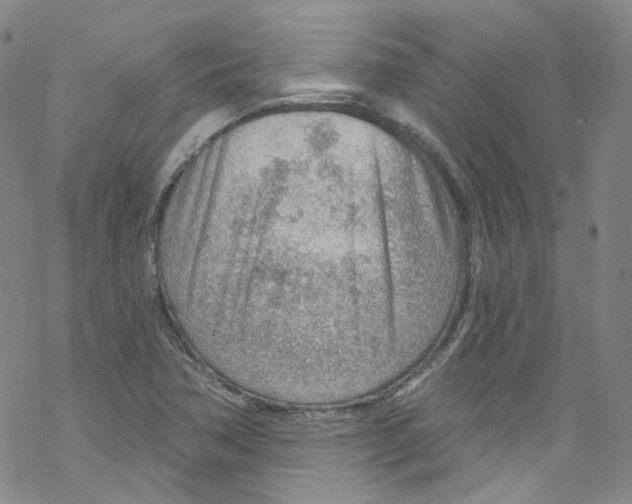 X0000067531362200605051909