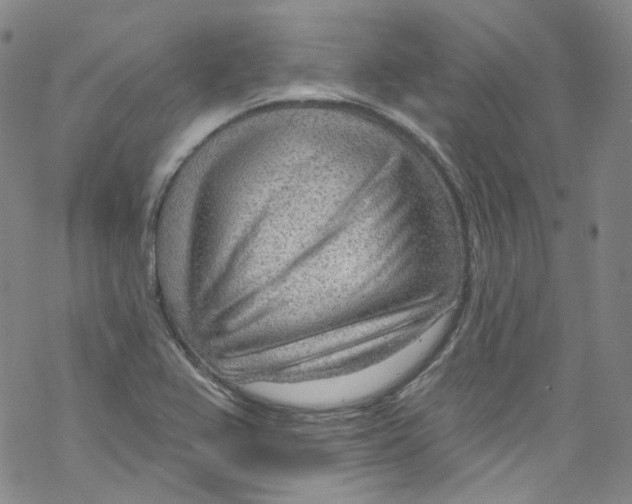 X0000067531367200605051909