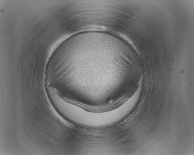 X0000067531379200605051909
