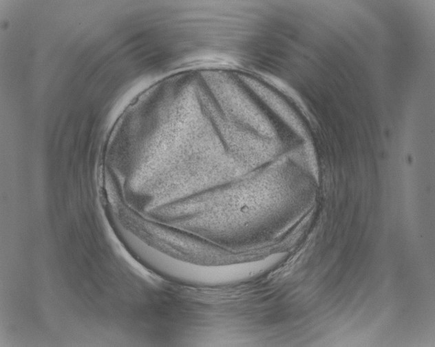 X0000067531383200605051909