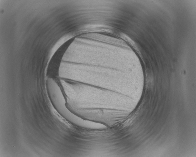 X0000067531386200605051909